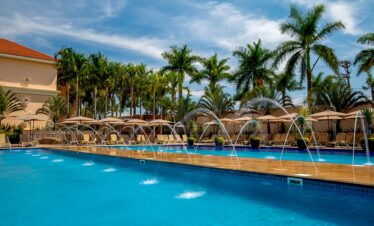 royal palm piscina